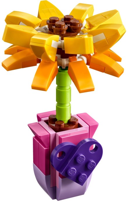Конструктор LEGO (ЛЕГО) Friends 30404 Friendship Flower