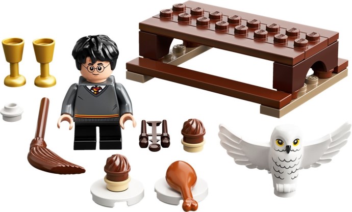 Конструктор LEGO (ЛЕГО) Harry Potter 30420 Harry Potter and Hedwig