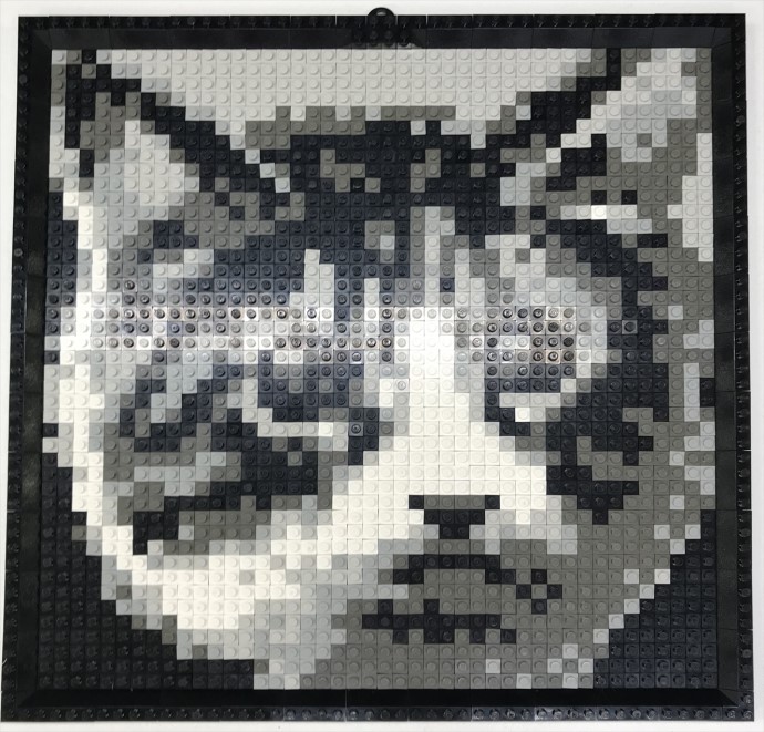Конструктор LEGO (ЛЕГО) Basic K34431 Mosaic Cat