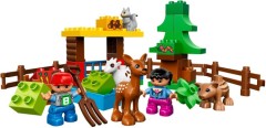 LEGO Дупло (Duplo) 10582 Animals