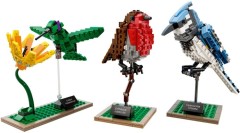 LEGO Ideas 21301 Birds